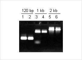 pic_03 (1).png